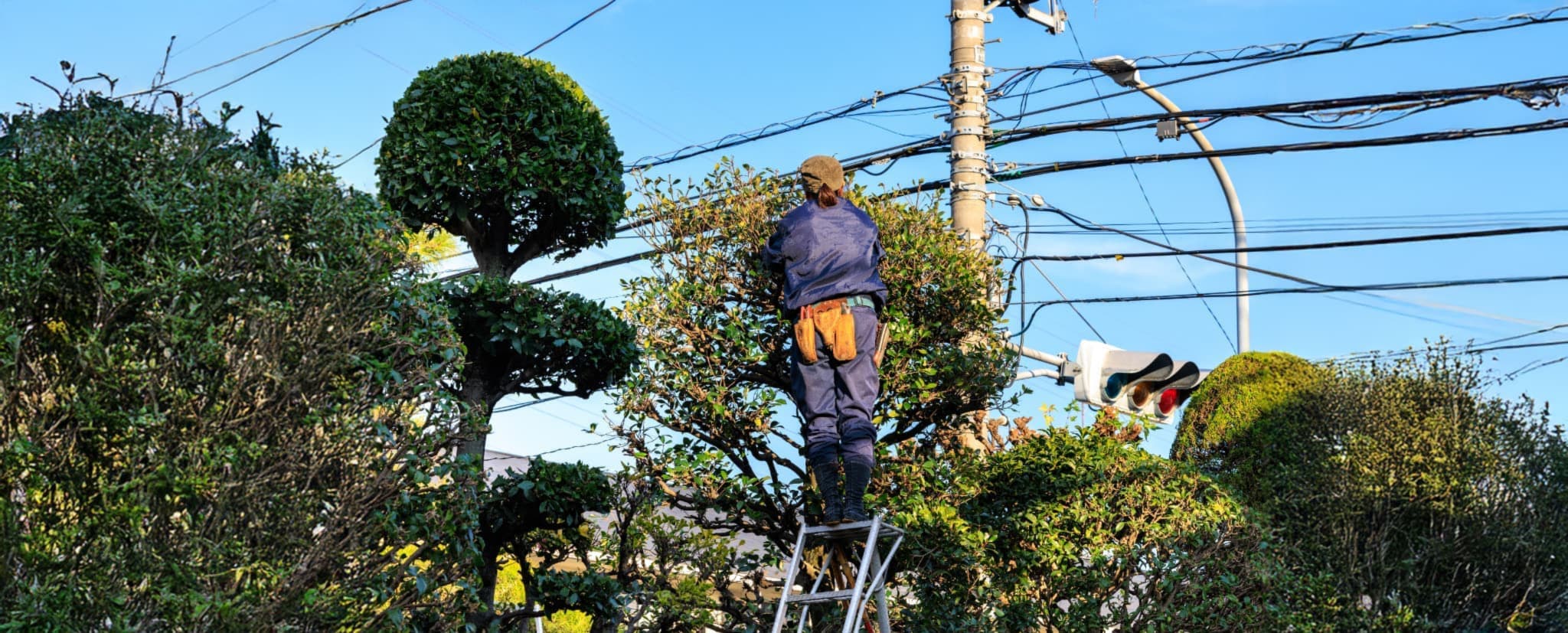 伐採だけで終わらない幅広い対応