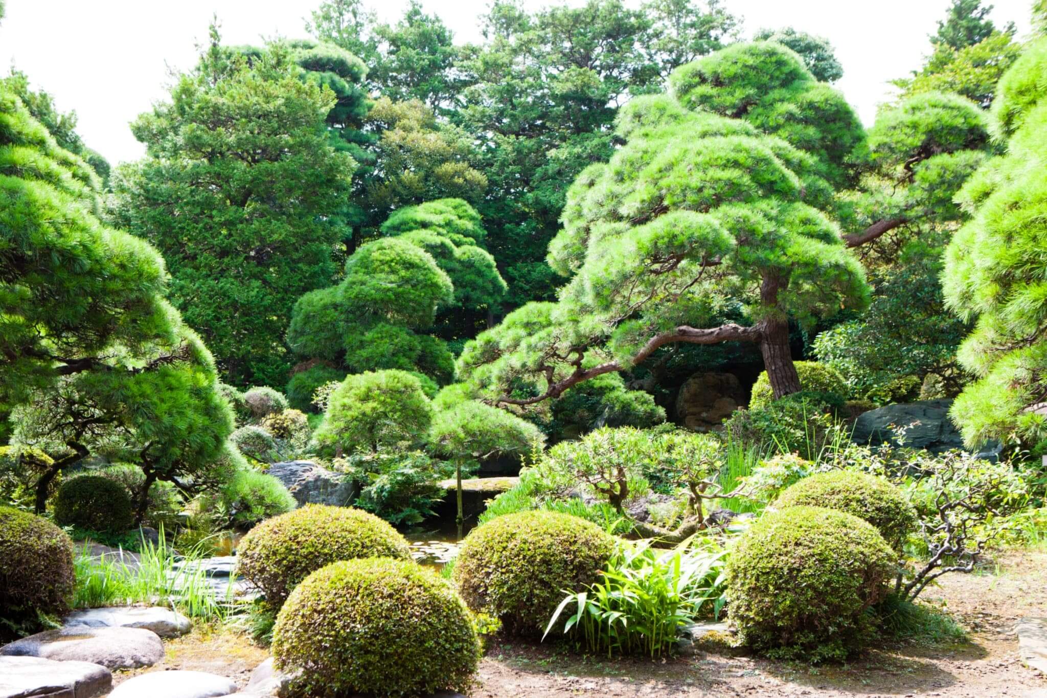 造園工事